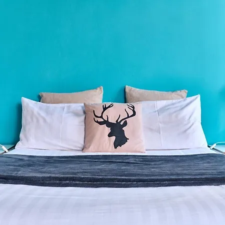 Al Cavour 34 Bed & Breakfast