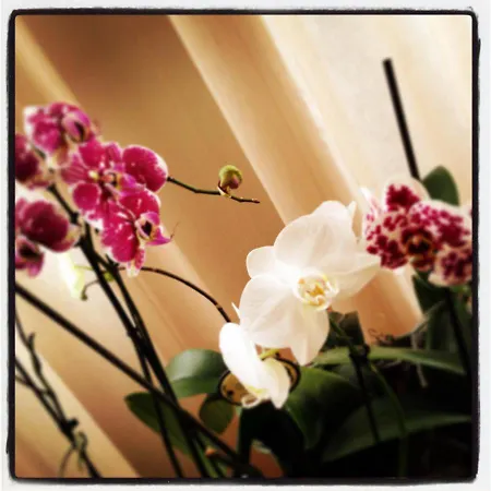 Bed & Breakfast Al Cavour 34